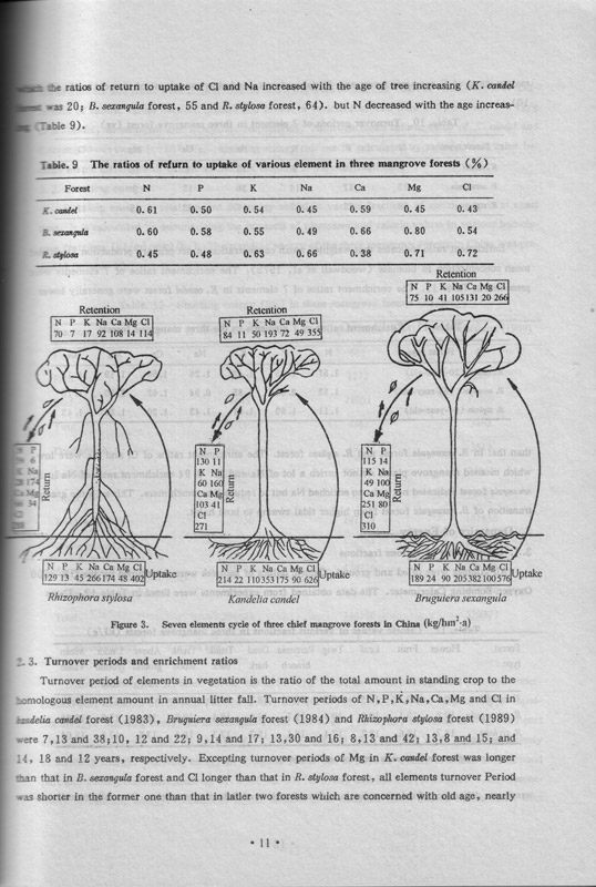 Mangrove Research Papers III (1993-1996) - aus dem Buch